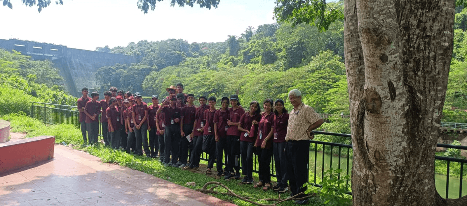 Image link